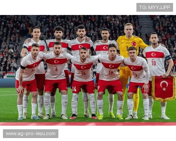 球员在欧洲杯外的商业活动引发关注，欧洲杯球队人员