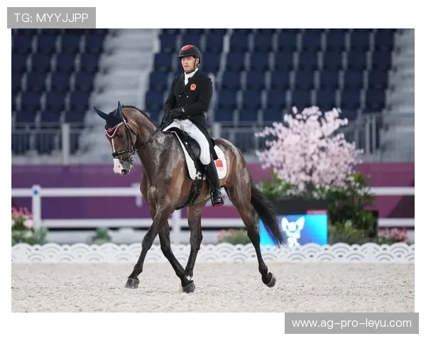 瑞士马术队在巴黎奥运会盛装舞步赛中获得第六名,成绩可圈可点。 瑞士马术队在巴黎奥运会盛装舞步赛中获得第六名,成绩可圈可点。